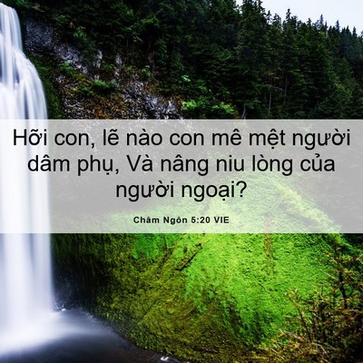 Picture 06 - Châm Ngôn 5:20 VIE - Hỡi con, lẽ nào con mê mệt người dâm - Bible Verse Picture