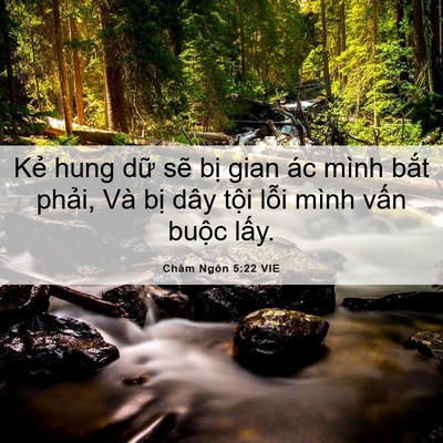 Picture 06 - Châm Ngôn 5:22 VIE - Kẻ hung dữ sẽ bị gian ác mình bắt - Bible Verse Picture