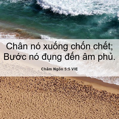 Picture 06 - Châm Ngôn 5:5 VIE - Chân nó xuống chốn chết; Bước nó - Bible Verse Picture