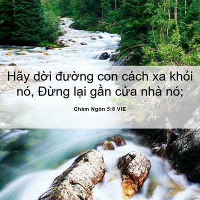 Picture 06 - Châm Ngôn 5:8 VIE - Hãy dời đường con cách xa khỏi nó, - Bible Verse Picture
