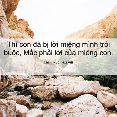 Picture 06 - Châm Ngôn 6:2 VIE - Thì con đã bị lời miệng mình trói - Bible Verse Picture