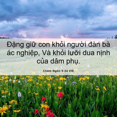 Picture 06 - Châm Ngôn 6:24 VIE - Đặng giữ con khỏi người đàn bà ác - Bible Verse Picture