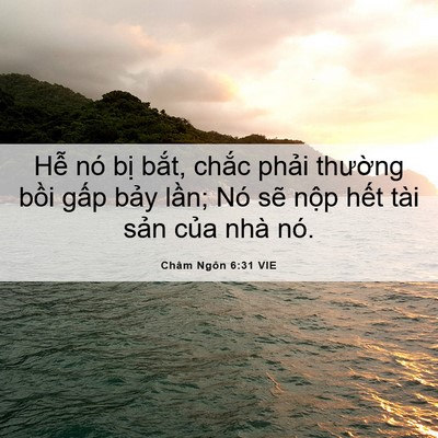 Picture 06 - Châm Ngôn 6:31 VIE - Hễ nó bị bắt, chắc phải thường - Bible Verse Picture
