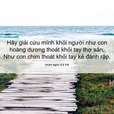 Picture 06 - Châm Ngôn 6:5 VIE - Hãy giải cứu mình khỏi người như con - Bible Verse Picture