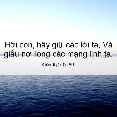 Picture 06 - Châm Ngôn 7:1 VIE - Hỡi con, hãy giữ các lời ta, Và giấu - Bible Verse Picture