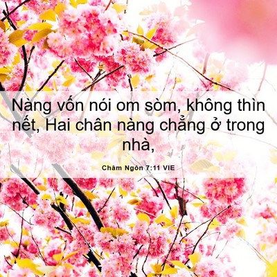 Picture 06 - Châm Ngôn 7:11 VIE - Nàng vốn nói om sòm, không thìn nết, Hai - Bible Verse Picture