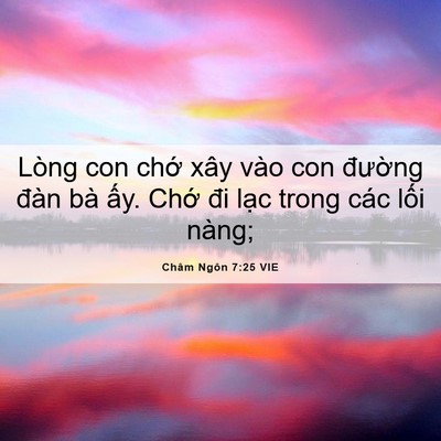 Picture 06 - Châm Ngôn 7:25 VIE - Lòng con chớ xây vào con đường đàn bà - Bible Verse Picture