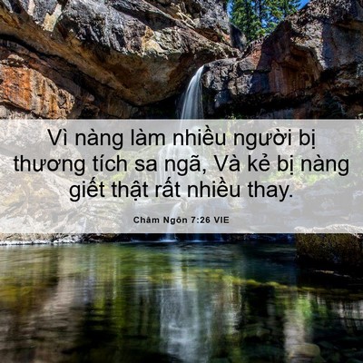 Picture 06 - Châm Ngôn 7:26 VIE - Vì nàng làm nhiều người bị thương - Bible Verse Picture