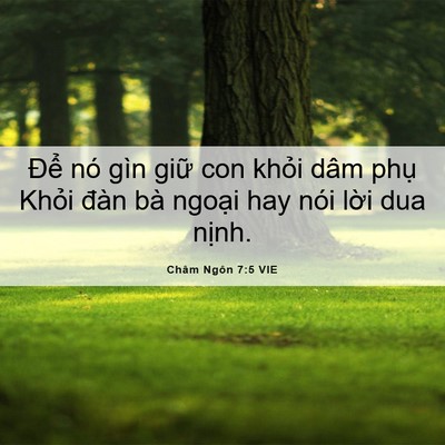 Picture 06 - Châm Ngôn 7:5 VIE - Để nó gìn giữ con khỏi dâm phụ Khỏi - Bible Verse Picture