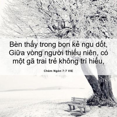 Picture 06 - Châm Ngôn 7:7 VIE - Bèn thấy trong bọn kẻ ngu dốt, Giữa - Bible Verse Picture