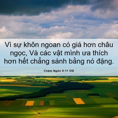 Picture 06 - Châm Ngôn 8:11 VIE - Vì sự khôn ngoan có giá hơn châu ngọc, - Bible Verse Picture