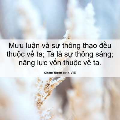 Picture 06 - Châm Ngôn 8:14 VIE - Mưu luận và sự thông thạo đều thuộc - Bible Verse Picture
