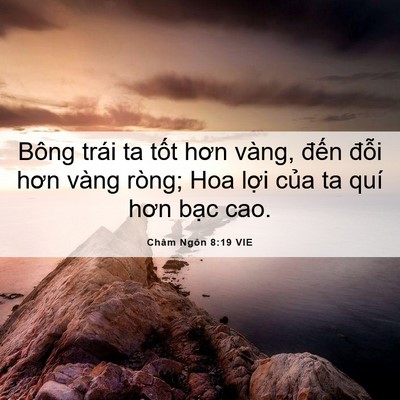 Picture 06 - Châm Ngôn 8:19 VIE - Bông trái ta tốt hơn vàng, đến đỗi - Bible Verse Picture