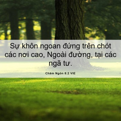Picture 06 - Châm Ngôn 8:2 VIE - Sự khôn ngoan đứng trên chót các nơi - Bible Verse Picture