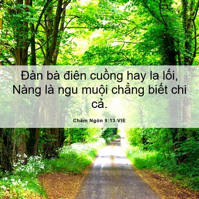 Picture 06 - Châm Ngôn 9:13 VIE - Đàn bà điên cuồng hay la lối, Nàng là - Bible Verse Picture