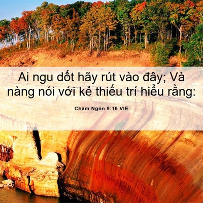 Picture 06 - Châm Ngôn 9:16 VIE - Ai ngu dốt hãy rút vào đây; Và nàng nói - Bible Verse Picture
