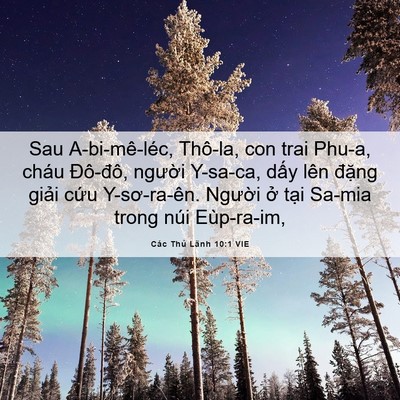 Picture 06 - Các Thủ Lãnh 10:1 VIE - Sau A-bi-mê-léc, Thô-la, con trai Phu-a, cháu - Bible Verse Picture