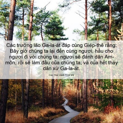 Picture 06 - Các Thủ Lãnh 11:8 VIE - Các trưởng lão Ga-la-át đáp cùng - Bible Verse Picture