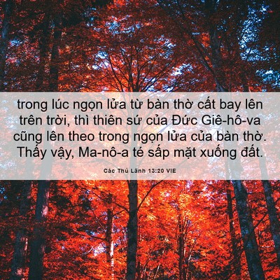 Picture 06 - Các Thủ Lãnh 13:20 VIE - trong lúc ngọn lửa từ bàn thờ cất bay - Bible Verse Picture