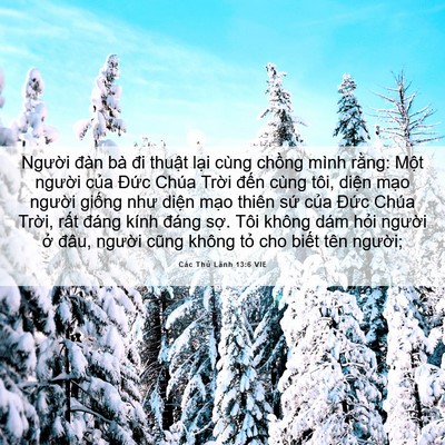 Picture 06 - Các Thủ Lãnh 13:6 VIE - Người đàn bà đi thuật lại cùng - Bible Verse Picture