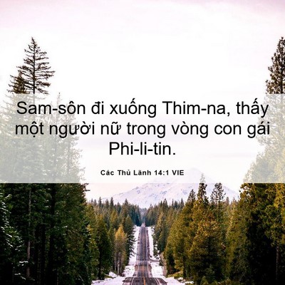 Picture 06 - Các Thủ Lãnh 14:1 VIE - Sam-sôn đi xuống Thim-na, thấy một - Bible Verse Picture