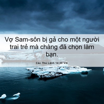 Picture 06 - Các Thủ Lãnh 14:20 VIE - Vợ Sam-sôn bị gả cho một người trai - Bible Verse Picture
