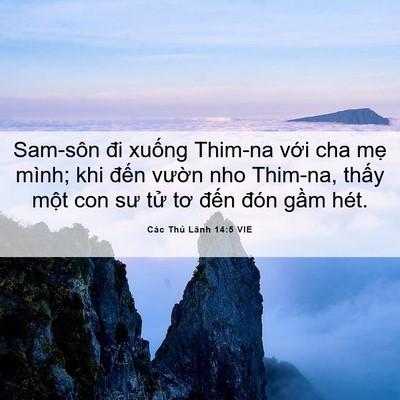 Picture 06 - Các Thủ Lãnh 14:5 VIE - Sam-sôn đi xuống Thim-na với cha mẹ - Bible Verse Picture