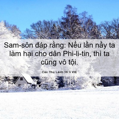 Picture 06 - Các Thủ Lãnh 15:3 VIE - Sam-sôn đáp rằng: Nếu lần nầy ta làm - Bible Verse Picture