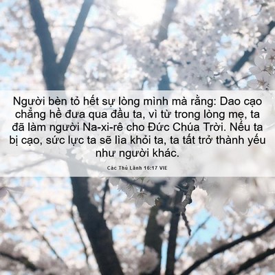 Picture 06 - Các Thủ Lãnh 16:17 VIE - Người bèn tỏ hết sự lòng mình mà - Bible Verse Picture