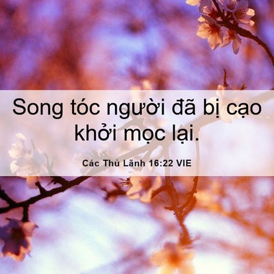 Picture 06 - Các Thủ Lãnh 16:22 VIE - Song tóc người đã bị cạo khởi mọc - Bible Verse Picture