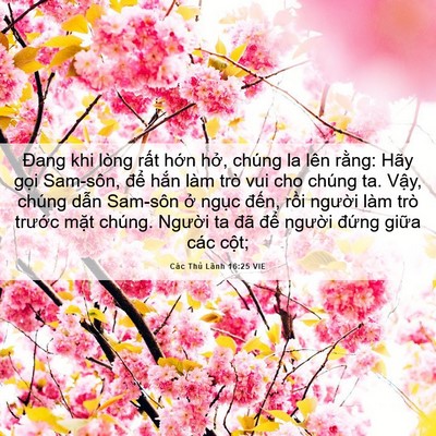 Picture 06 - Các Thủ Lãnh 16:25 VIE - Đang khi lòng rất hớn hở, chúng la lên - Bible Verse Picture