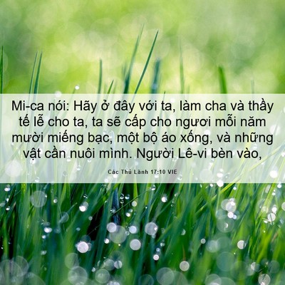Picture 06 - Các Thủ Lãnh 17:10 VIE - Mi-ca nói: Hãy ở đây với ta, làm cha và - Bible Verse Picture