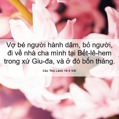 Picture 06 - Các Thủ Lãnh 19:2 VIE - Vợ bé người hành dâm, bỏ người, đi - Bible Verse Picture