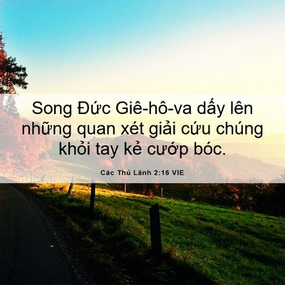 Picture 06 - Các Thủ Lãnh 2:16 VIE - Song Đức Giê-hô-va dấy lên những quan - Bible Verse Picture