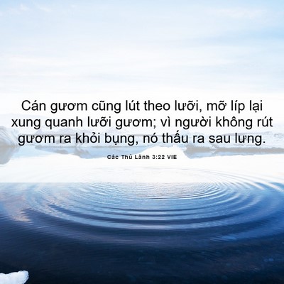 Picture 06 - Các Thủ Lãnh 3:22 VIE - Cán gươm cũng lút theo lưỡi, mỡ líp - Bible Verse Picture