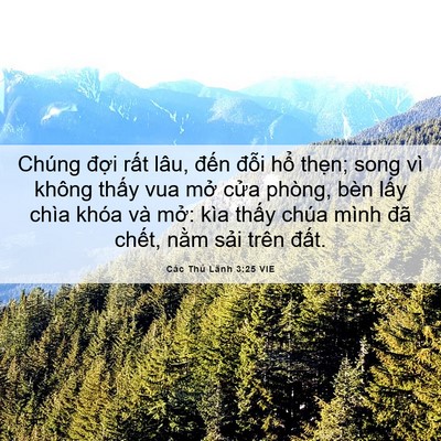 Picture 06 - Các Thủ Lãnh 3:25 VIE - Chúng đợi rất lâu, đến đỗi hổ - Bible Verse Picture