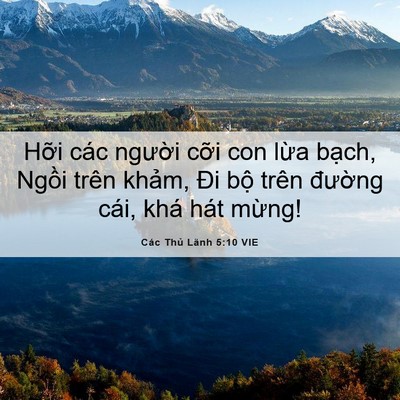 Picture 06 - Các Thủ Lãnh 5:10 VIE - Hỡi các người cỡi con lừa bạch, - Bible Verse Picture