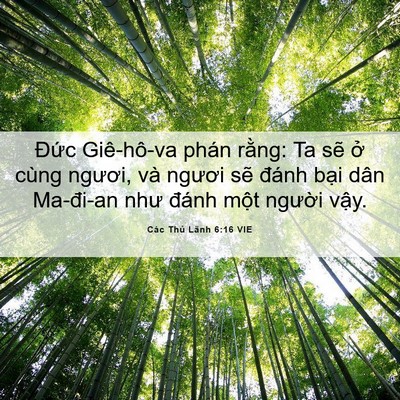 Picture 06 - Các Thủ Lãnh 6:16 VIE - Đức Giê-hô-va phán rằng: Ta sẽ ở - Bible Verse Picture