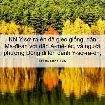 Picture 06 - Các Thủ Lãnh 6:3 VIE - Khi Y-sơ-ra-ên đã gieo giống, dân - Bible Verse Picture