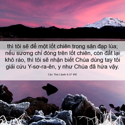 Picture 06 - Các Thủ Lãnh 6:37 VIE - thì tôi sẽ để một lốt chiên trong - Bible Verse Picture