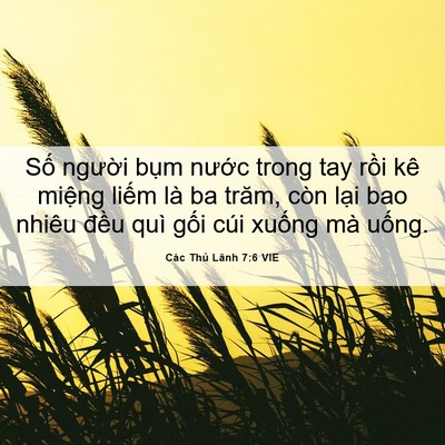 Picture 06 - Các Thủ Lãnh 7:6 VIE - Số người bụm nước trong tay rồi kê - Bible Verse Picture