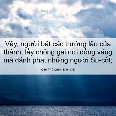 Picture 06 - Các Thủ Lãnh 8:16 VIE - Vậy, người bắt các trưởng lão của - Bible Verse Picture