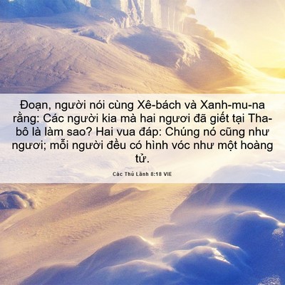 Picture 06 - Các Thủ Lãnh 8:18 VIE - Đoạn, người nói cùng Xê-bách và - Bible Verse Picture