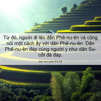 Picture 06 - Các Thủ Lãnh 8:8 VIE - Từ đó, người đi lên đến Phê-nu-ên - Bible Verse Picture