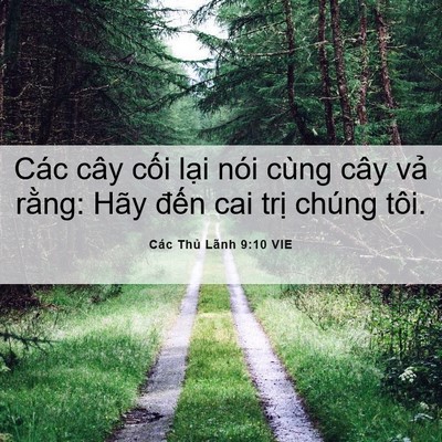 Picture 06 - Các Thủ Lãnh 9:10 VIE - Các cây cối lại nói cùng cây vả - Bible Verse Picture