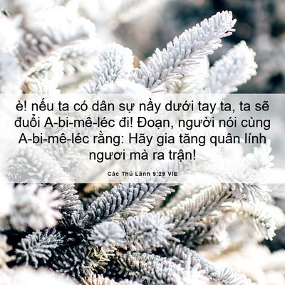 Picture 06 - Các Thủ Lãnh 9:29 VIE - è! nếu ta có dân sự nầy dưới tay ta, - Bible Verse Picture