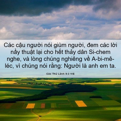 Picture 06 - Các Thủ Lãnh 9:3 VIE - Các cậu người nói giùm người, đem - Bible Verse Picture