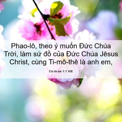 Picture 06 - Cô-lô-se 1:1 VIE - Phao-lô, theo ý muốn Đức Chúa Trời, - Bible Verse Picture