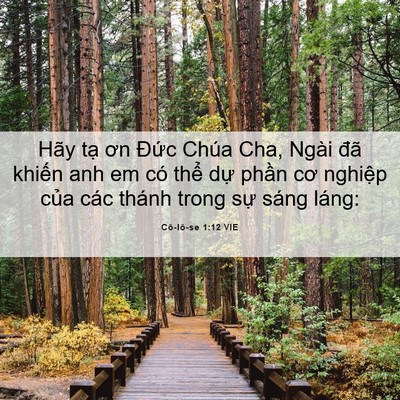 Picture 06 - Cô-lô-se 1:12 VIE - Hãy tạ ơn Đức Chúa Cha, Ngài đã - Bible Verse Picture