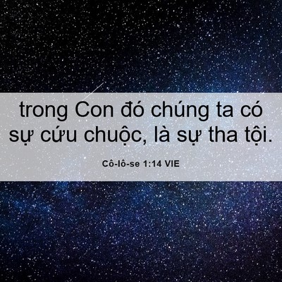 Picture 06 - Cô-lô-se 1:14 VIE - trong Con đó chúng ta có sự cứu chuộc, - Bible Verse Picture